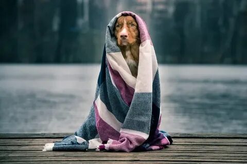 I got a cold