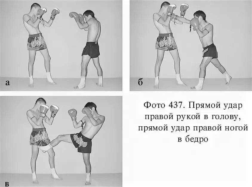 Техника выполнения удара ногой. Удары ногами в кикбоксинге. Виды ударов руками. Удары в кикбоксинге названия и картинки ногой. Кикбоксинг удары руками.