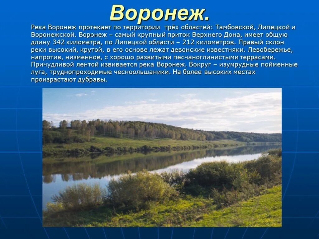 Водные богатства воронежской области. Река Воронеж в Липецкой области 4 класс. Воронеж (река) реки Воронежской области. Притоки реки Воронеж. Реки Воронежского края.