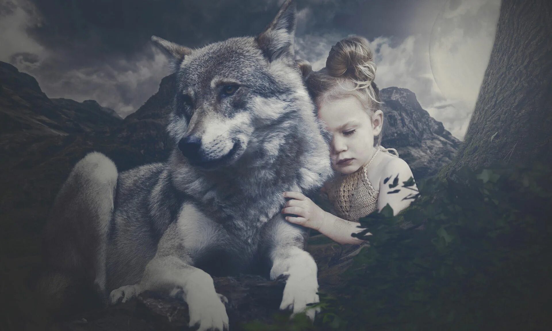 Обнимаю волка. Девочка и волк. Девочка обнимает волка. Маленькая девочка и волк. Девушка с волком.