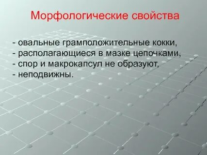 Морфологические свойства это