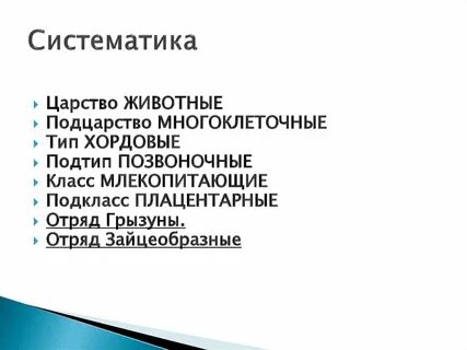 Отряды в систематике