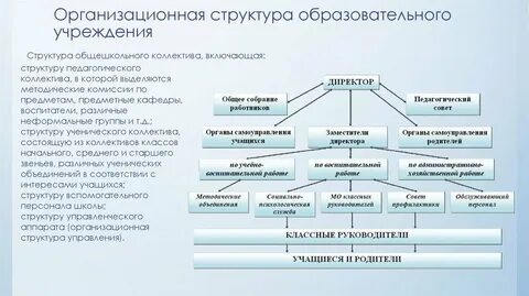 Компоненты структуры образовательной организации