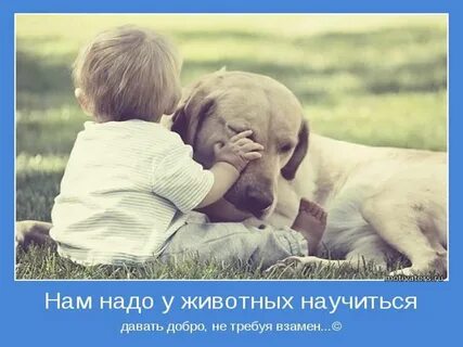Забота картинки с надписями