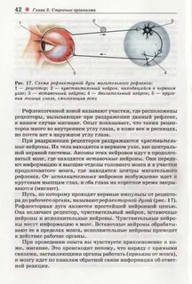 Получение мигательного рефлекса