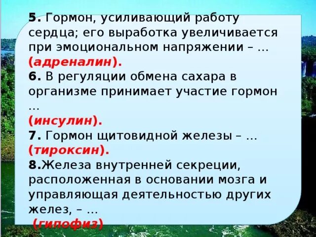 Регуляция обмена сахара. В регуляции обмена сахара в организме принимает участие. Гормоны усиливающие работу сердца. В регуляции обмена сахара в организме не принимает участие.