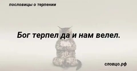 Ждал и нам велел