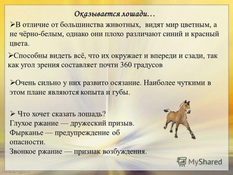 Почему большинство животных. Почему большинство животных. Класс млекопитающие. Весной у зверей появляются детеныши. Почему большинство животных антарктиды хищники 7 класс.