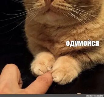 Ну не отвлекаешь