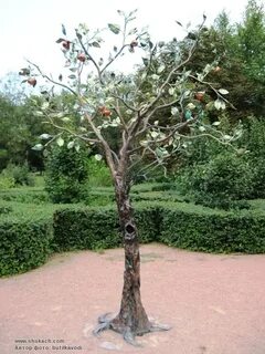 Яблоня аляска
