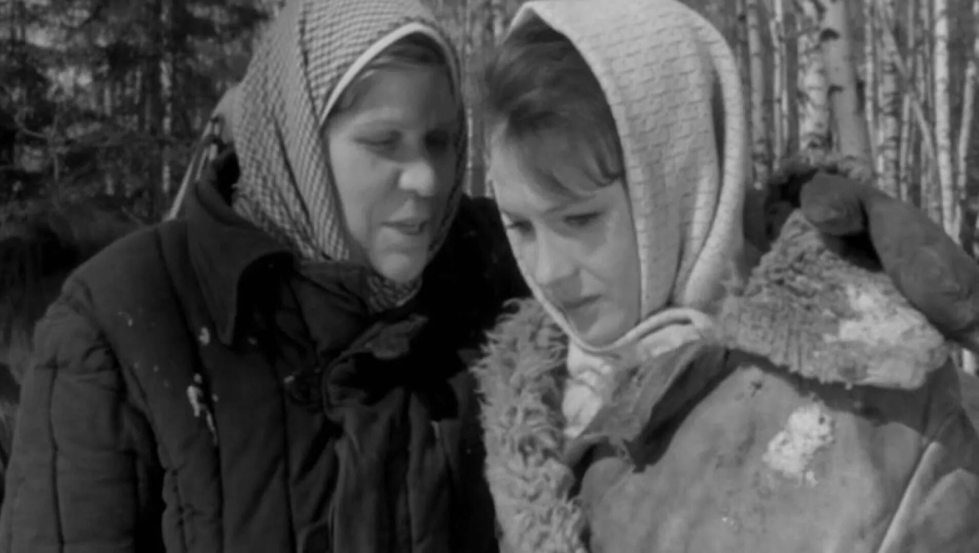 Женщины ждут бергман. Х ф женщины. Х ф женщины. Ингмар бергман женщины. Х ф женщины.