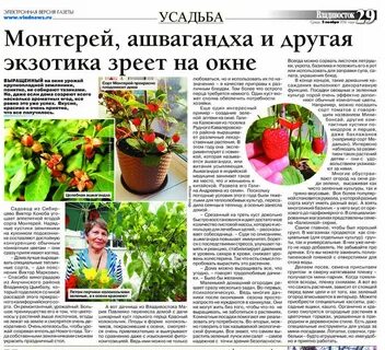 Статей цветы