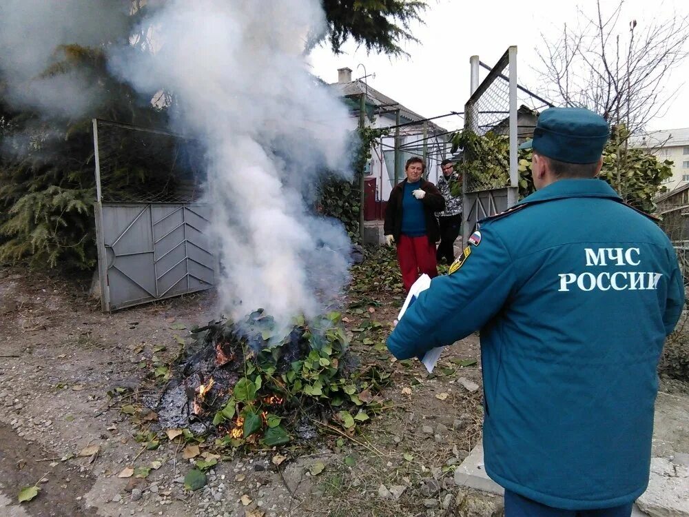 Можно ли сжигать траву на своем участке