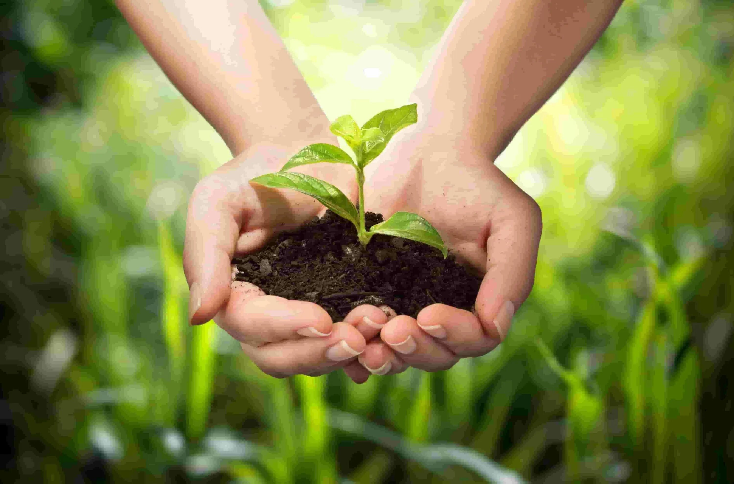 Healthy environment