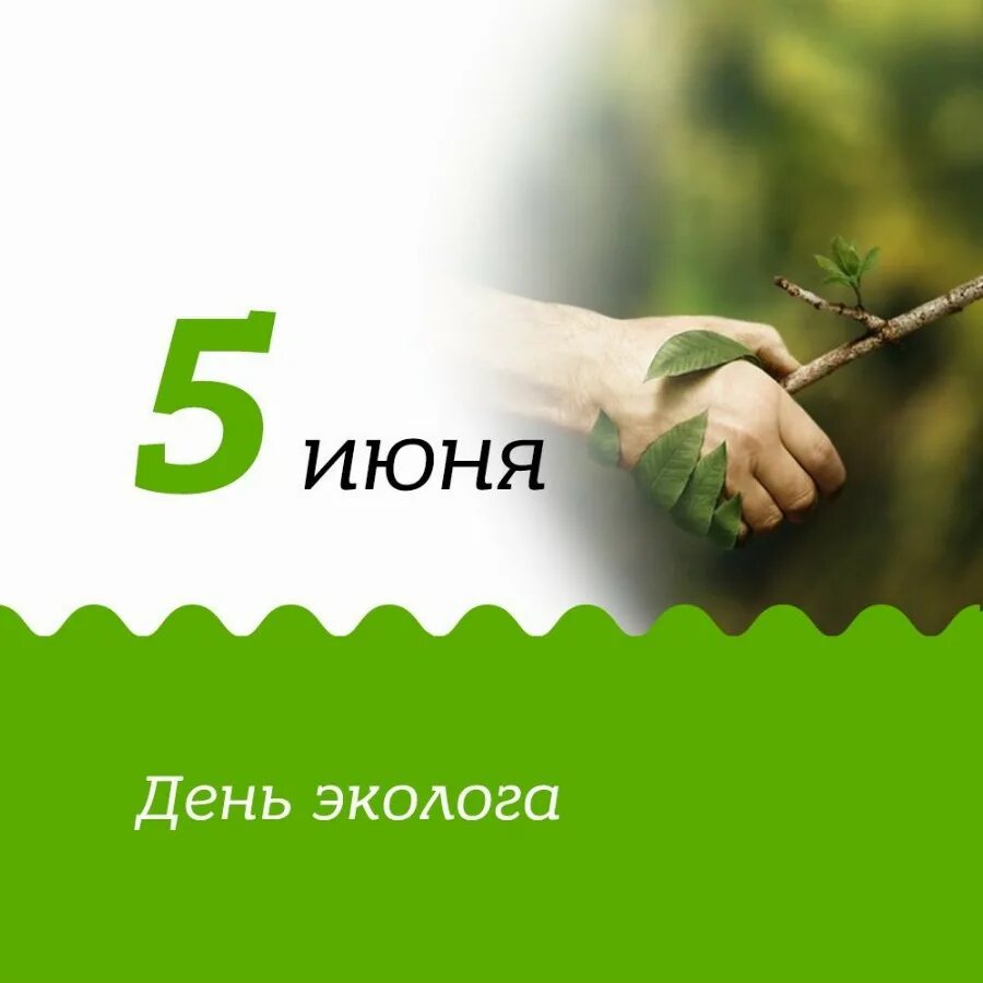 5 июня день эколога. Поздравление с днем эколога. 5 июня з. День эколога. 5 june world environment day.