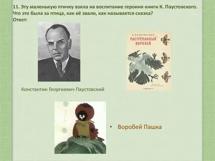 Паустовский главные герои и главная мысль