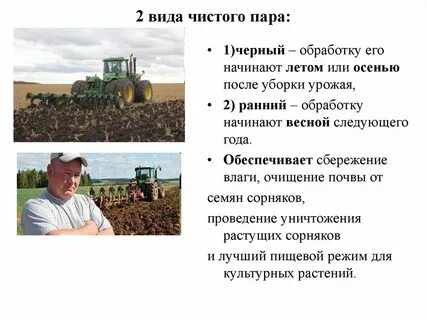 Чистым паром