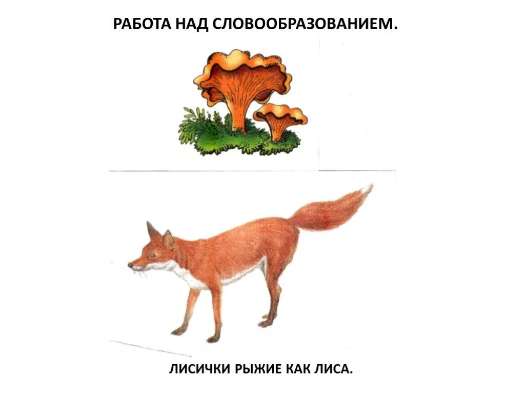 Лисица однокоренные слова. Лисица проверочное слово. Анализ слова лиса. Прилагательные к слову лиса. Лиса слова действия.