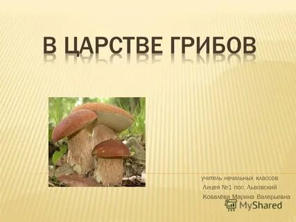 Царство грибы презентация 3 класс окружающий