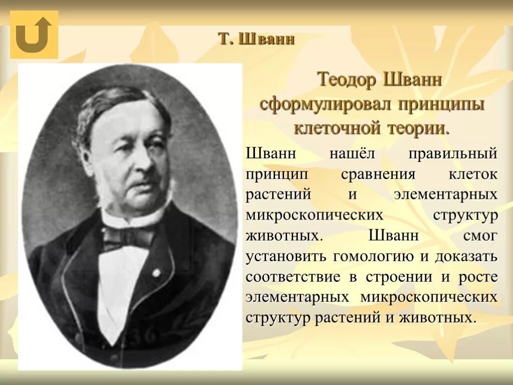 Т шванн сформулировал. Теодор шванн. теодор шванн философия. теодор шванн вклад в философию. теодор шванн достижения в биологии.