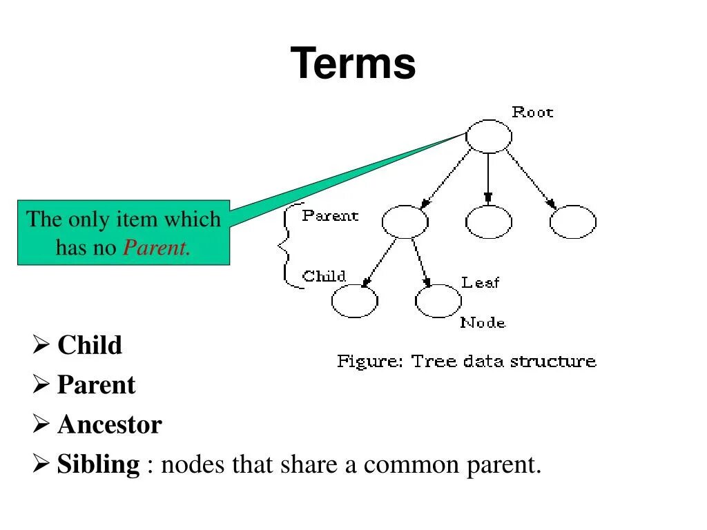 Домен дети. Common ANCESTOR Tree. Как устроено дерево node. Root node Inner node leafes in decision Tree.