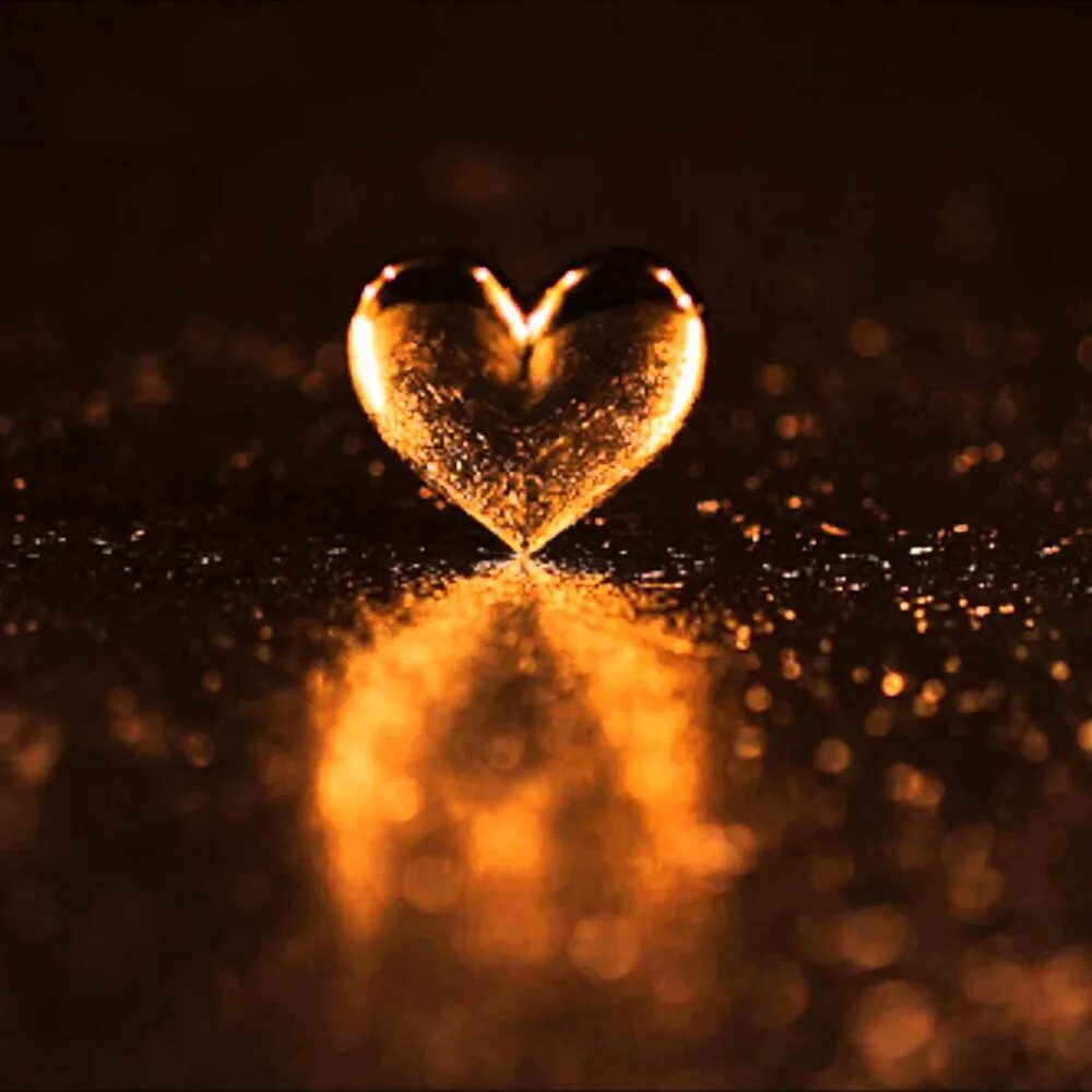 Сердце. Золотое сердце. Сердце золото. Красивое золотое сердце. Честная душа и золотое сердце