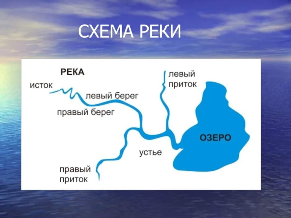 Откуда берет начало сура. Схема реки Исток приток Устье. Составные части реки схема. Истоки реки Устье реки правый берег левый берег. Устье приток Исток окружающий мир 2 класс.