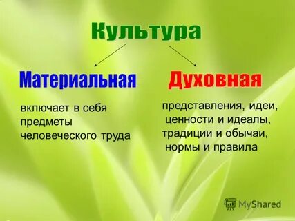 Труд представление