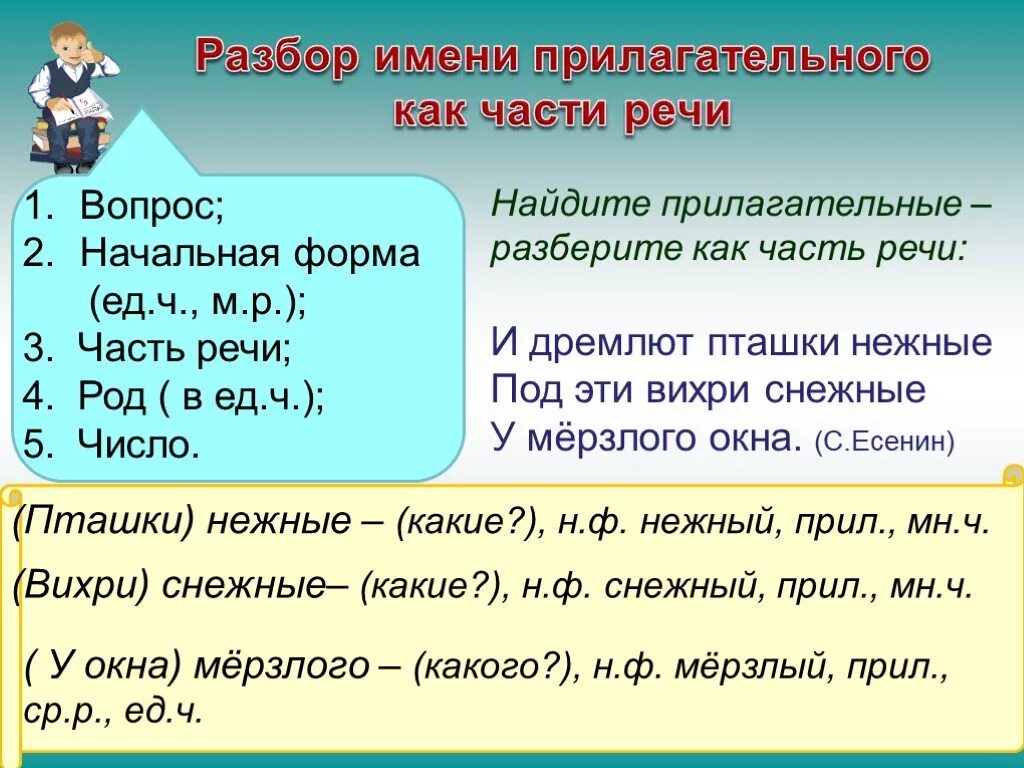 Белые разбор как часть речи. Разбор части речи прилагательного 3 класс. Разбор слова как часть речи. Разбор как часть речи. Разбор прилагательных как части реч.