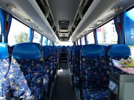 Автобус санкт петербург брянск