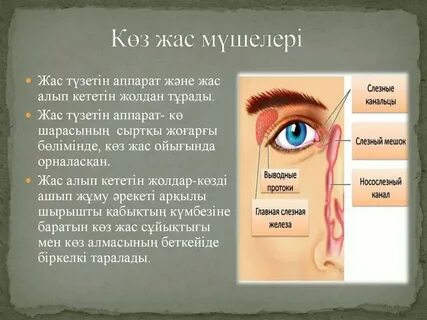 Онлайн секс