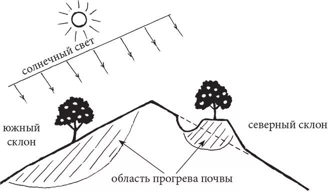 Как определить экспозицию склона. Экспозиция склона. экспозиция склона как определить. крутизна и экспозиция склонов. схема экспозиции склона.