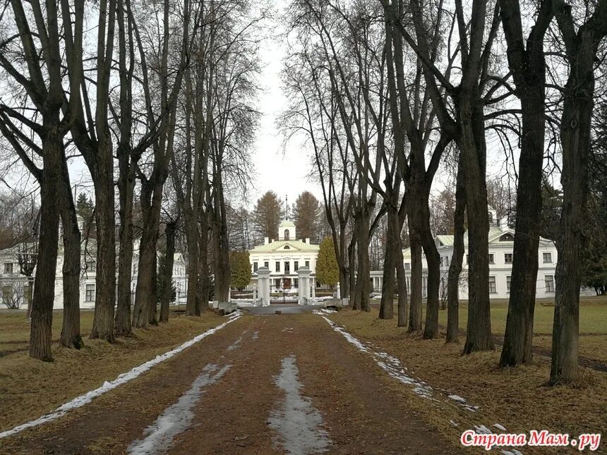 Поселок мцыри усадьба середниково. Усадьба Мцыри Середниково. Мцыри усадьба Лермонтова Фирсановка. Мцыри Середниково. Усадьба Середниково, посёлок санатория Мцыри.