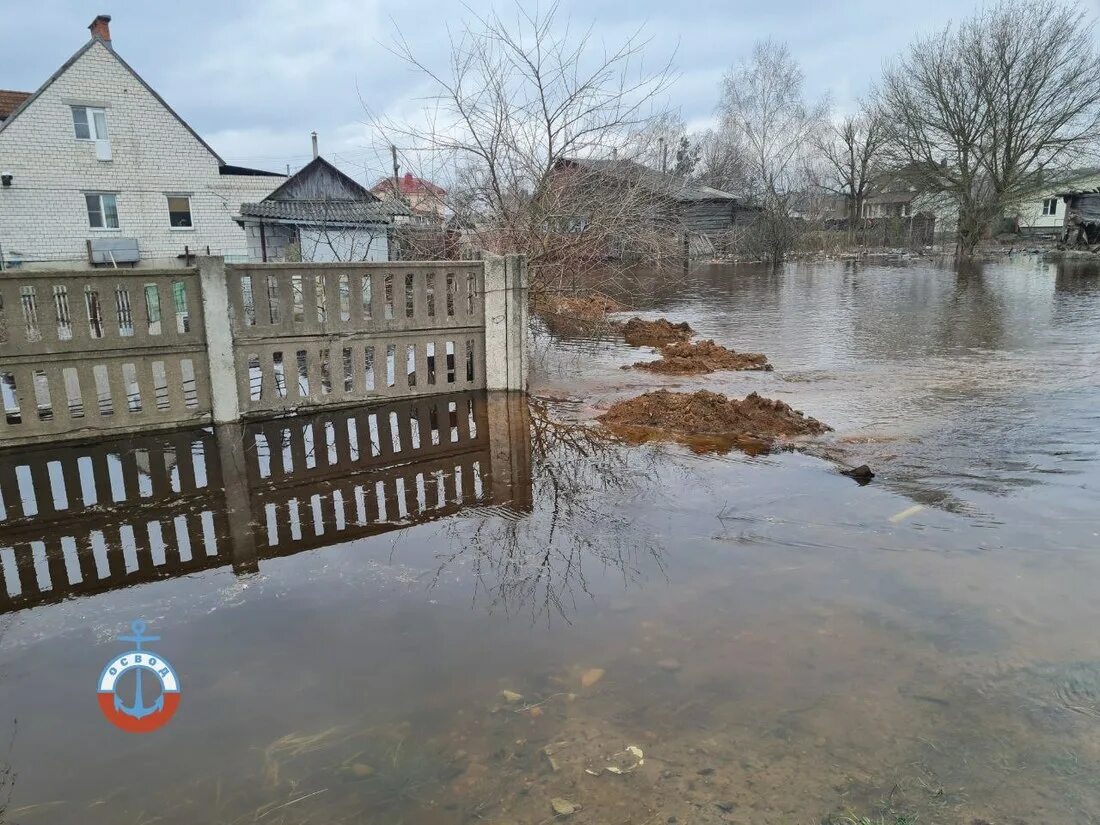 Паводок. Паводок в гомеле на сегодня. Гомель наводнение. Гомель паводок сож 2023. Весенний паводок.