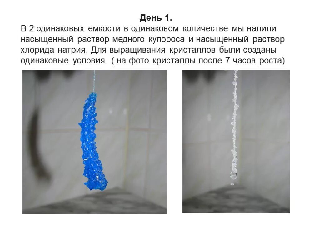 Кристаллы медного купороса. Кристаллы соли и медного купороса. Лабораторная работа выращивание кристаллов медного купороса. Лабораторная по выращиванию кристаллов соли. Медный купорос лабораторная работа