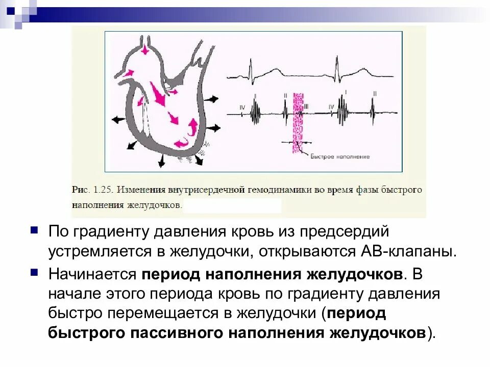 Пассивное наполнение сердца кровью. Градиент давления сердца норма. период наполнения желудочков. период наполнения желудочков кровью. градиент давления на клапане.
