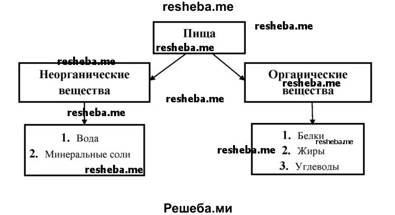 Дополни схему значение питания Тест по теме Энергетический обмен ЕГЭ биология