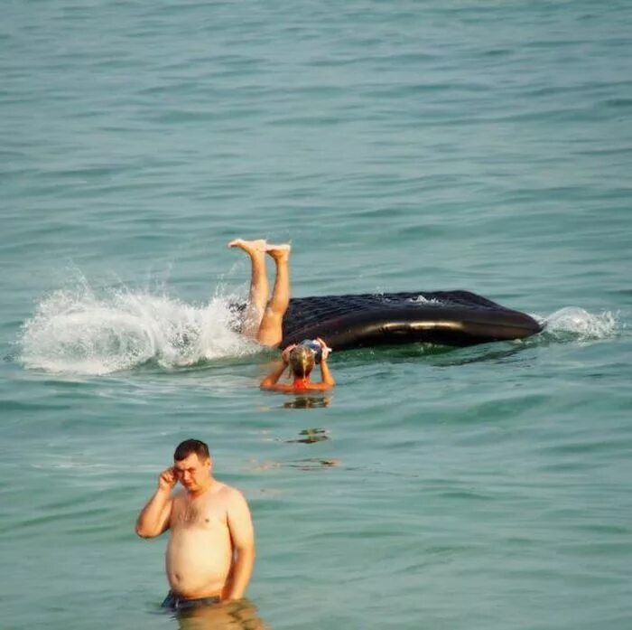 Удачные кадры смешные. Медведь в палатке. Смешные люди на море. Необычные случаи из жизни. Забавные ситуации из жизни.