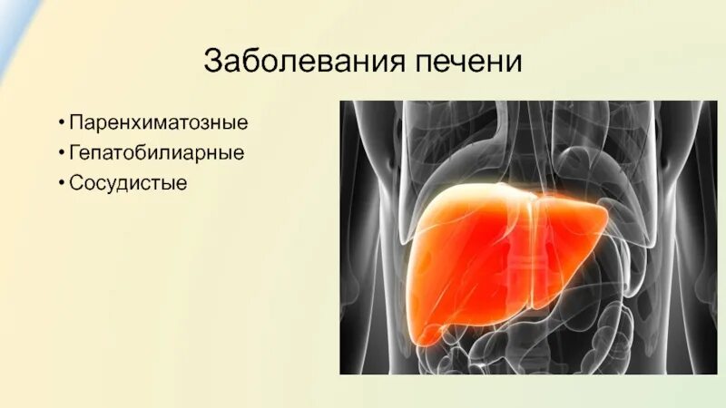 Болезнь печен. Сосудистые заболевания печени. Что такое поражение сосудов в печени.