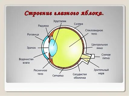 Название связано строение