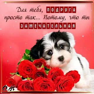 Подружка потому