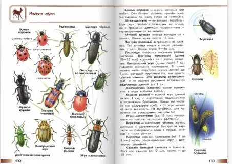 Атлас определитель привести примеры растений каждой группы