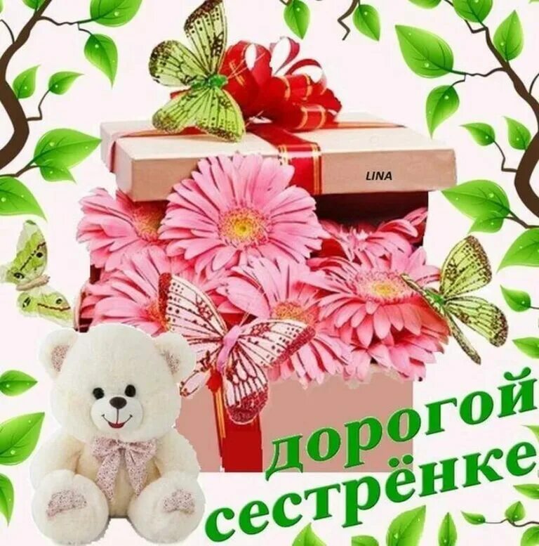 Картинка сестренка с днем. С днём рождения сестрёнка. С днём рождения дорогая сестрёнка. С днём рождения сестрёнка открытки. С днём рождения дорогая сестра поздравление.