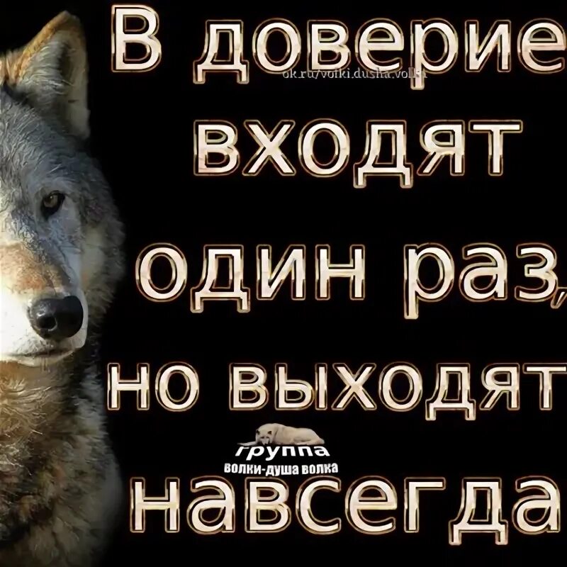 Результат доброты и доверия. Вот результат доброты и доверия. В доверие входят один раз а выходят навсегда. Вот он результат доброты и доверия. Доверия итог