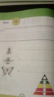 Рассмотри решение сформулируй и запиши вопрос задачи