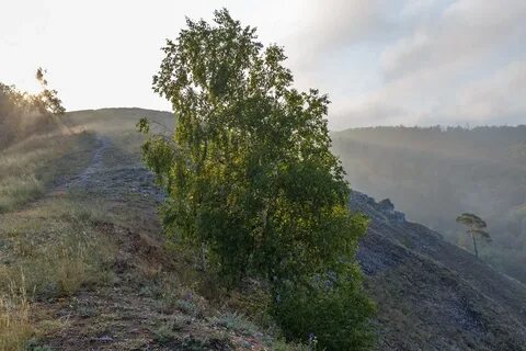 Лысая гора оренбург