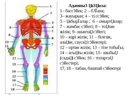 Телефоныңызға арналған порно GIF файлдары