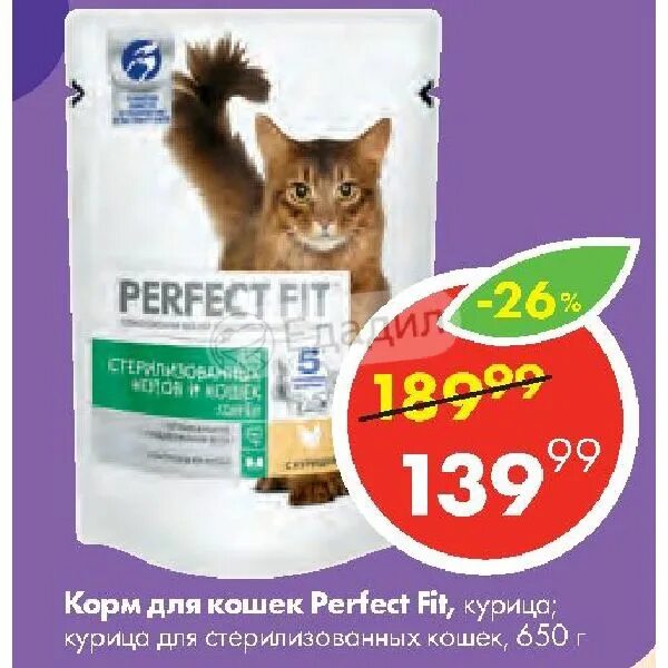 Акции на корм для кошек. Акция корм для кошек. скидки на корм для кошек. perfect fit корм для кошек акция. корм для кошек в пятерочке.