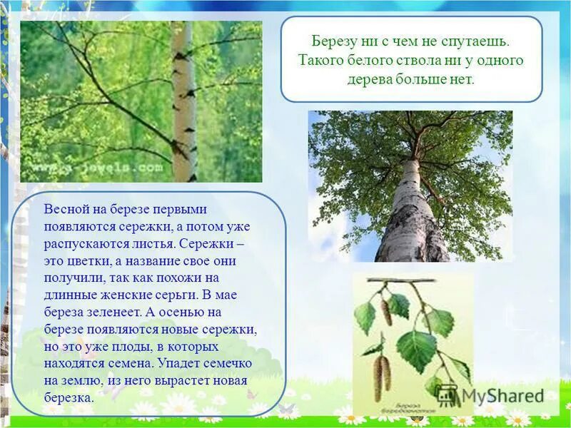 россия, свердловская область, посёлок городского типа сосьва. кудровская школа внутри. село имени бабушкина бабушкинская школа. вологодская область бабушкинский район село имени бабушкина. школа 1 береза.