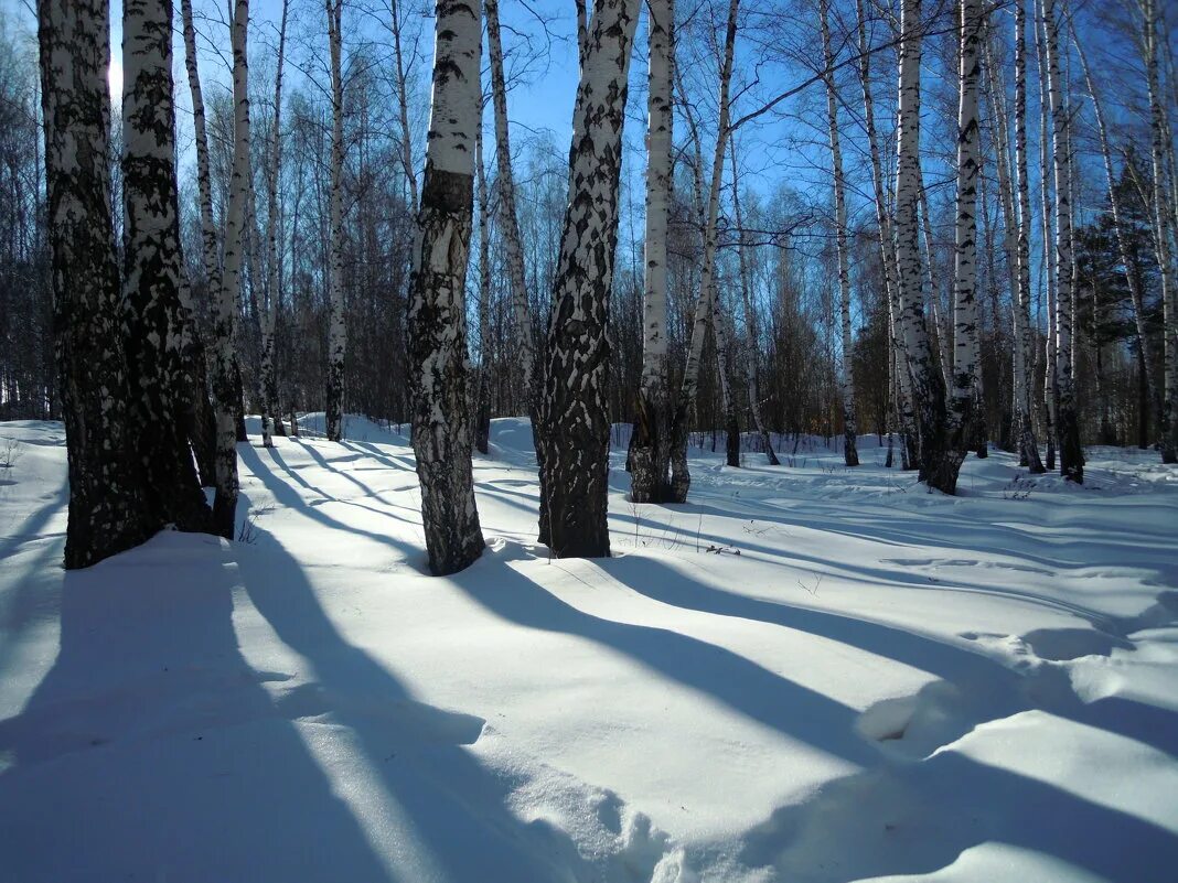 снег блестит. снег искрится. снег искрится на солнце. снег лежит. блестящие на солнце снег лежит.